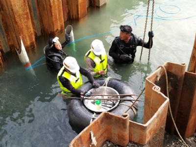 屏東縣林邊溪伏流水示範場址開發計畫統包工程